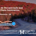 Clínica de Recuperação que Aceita SulAmérica em Álvares Florence -SP