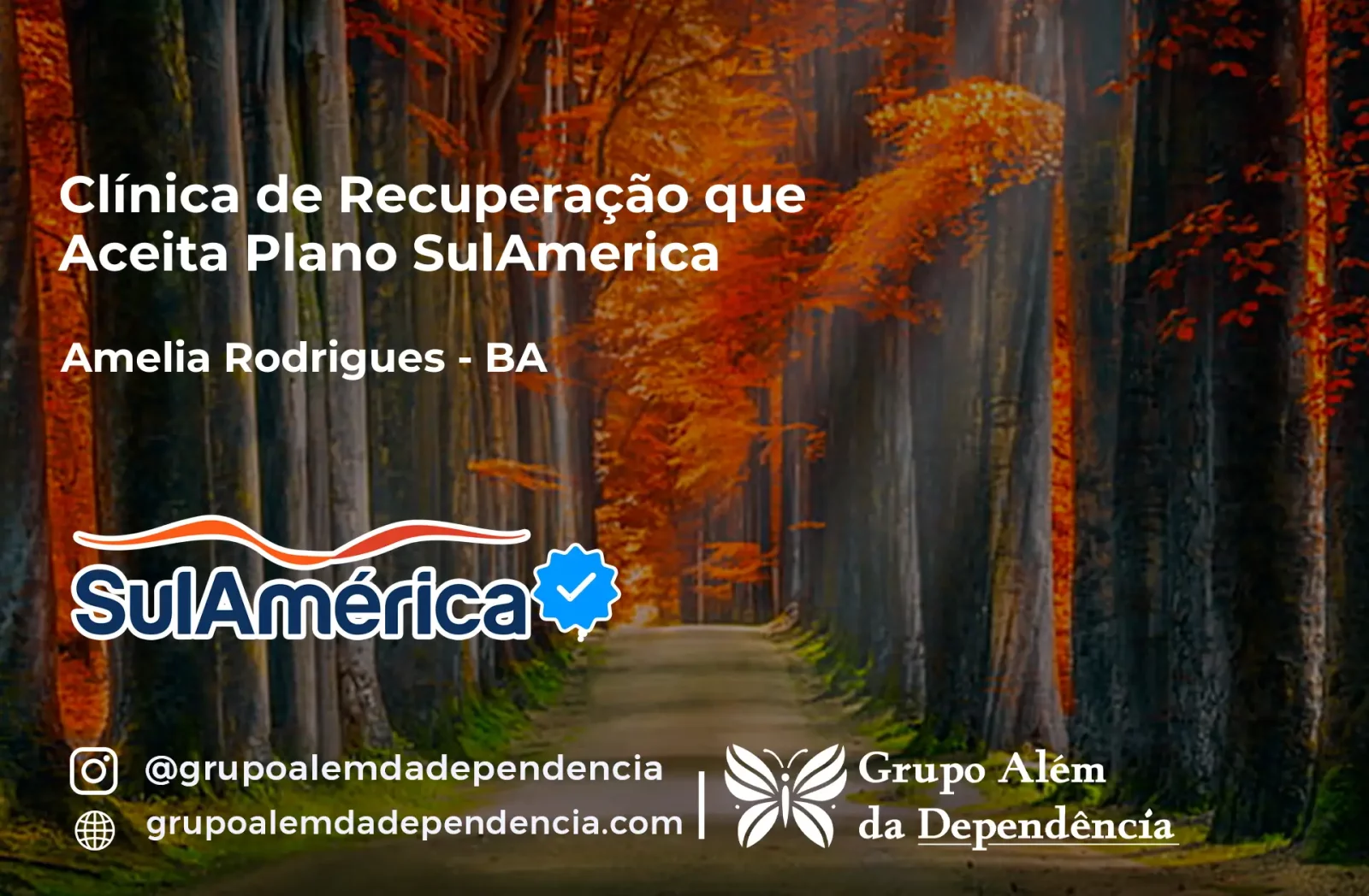 Clínica de Recuperação que Aceita SulAmérica em Amélia Rodrigues -BA