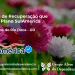 Clínica de Recuperação que Aceita SulAmérica em Aparecida do Rio Doce -GO