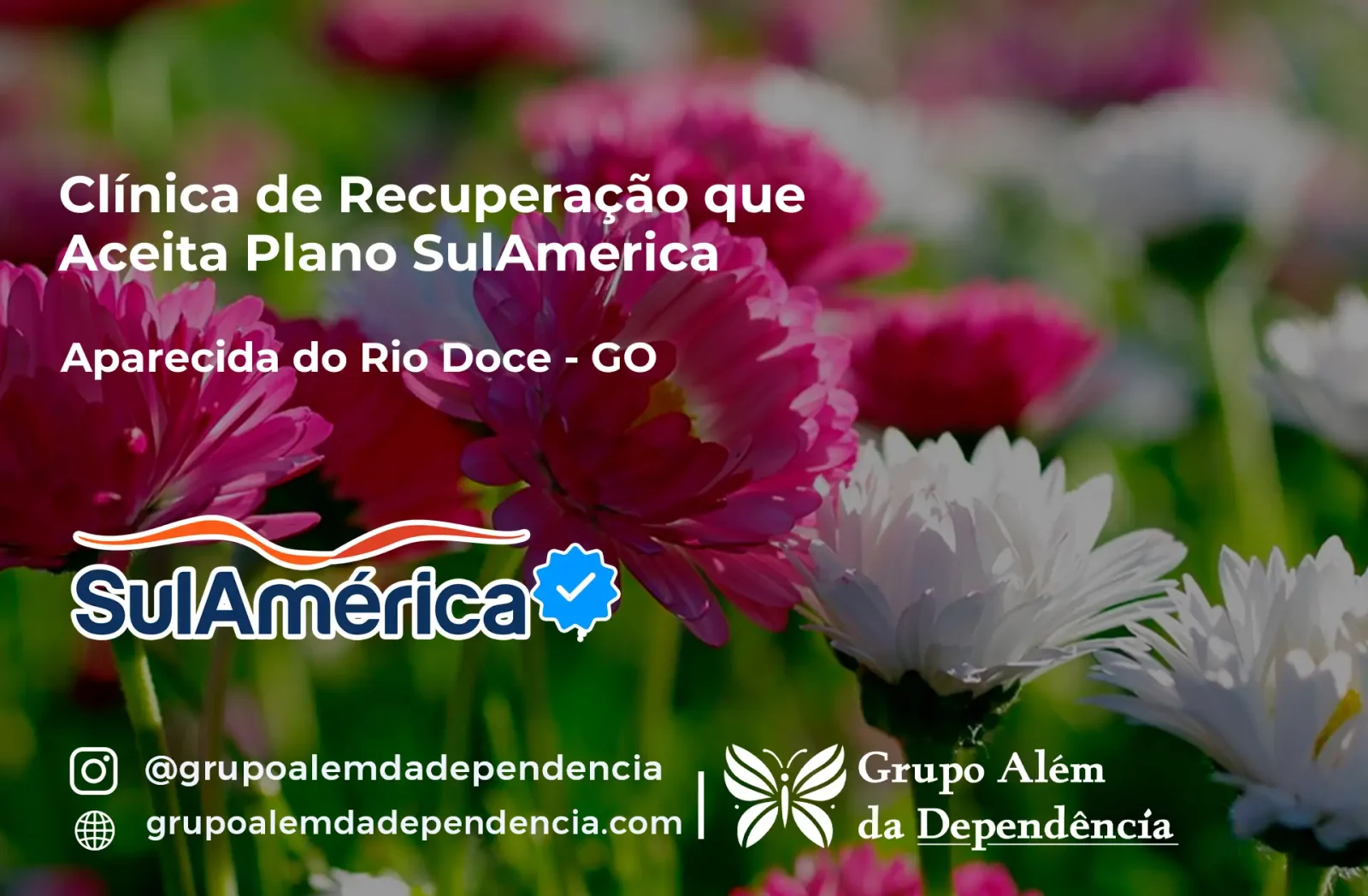 Clínica de Recuperação que Aceita SulAmérica em Aparecida do Rio Doce -GO