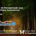 Clínica de Recuperação que Aceita SulAmérica em Araras -SP