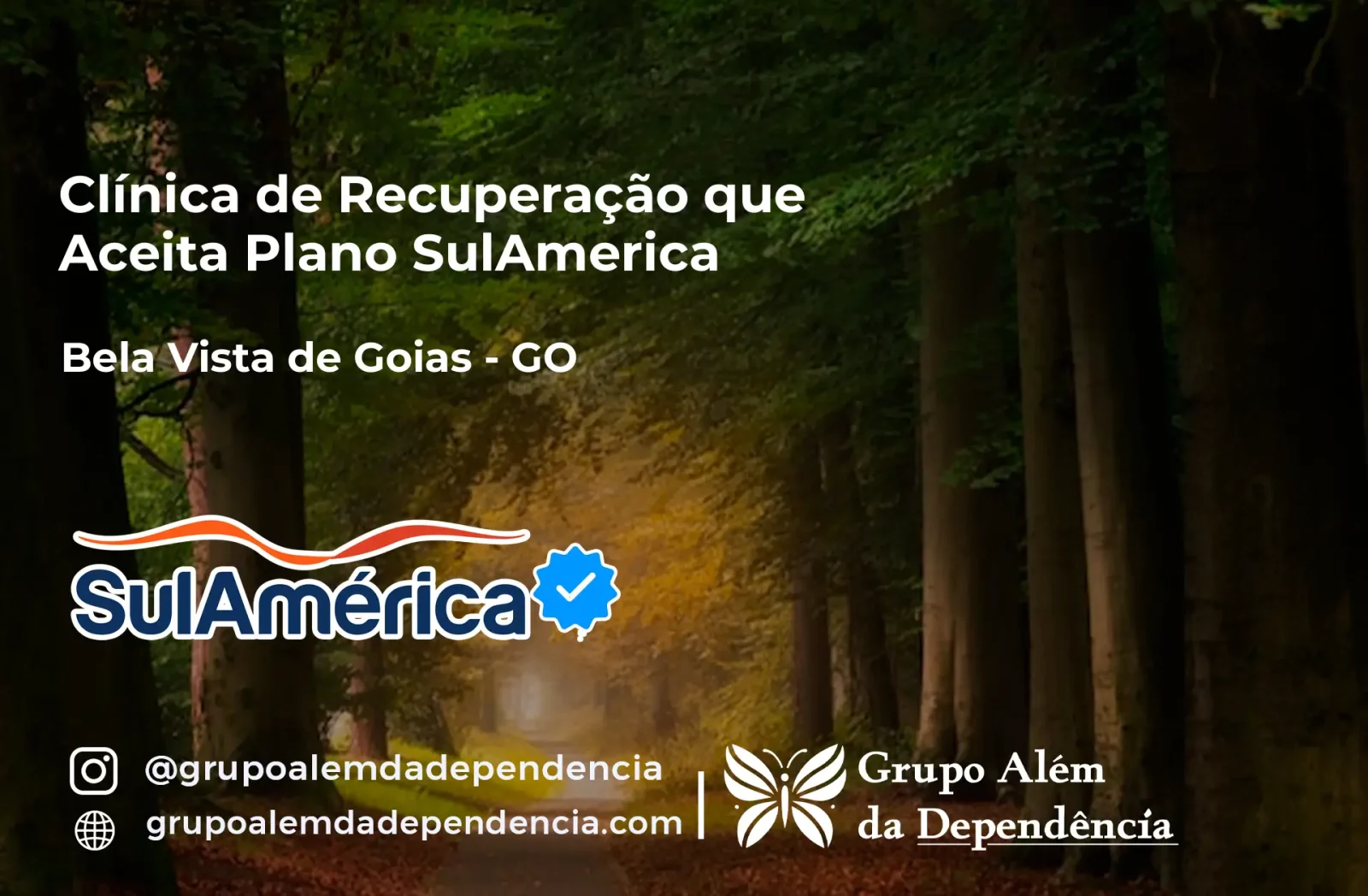 Clínica de Recuperação que Aceita SulAmérica em Bela Vista de Goiás -GO