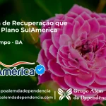 Clínica de Recuperação que Aceita SulAmérica em Belo Campo -BA