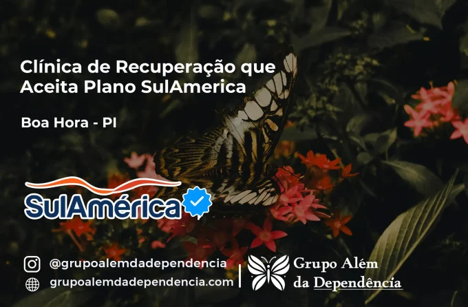 Clínica de Recuperação que Aceita SulAmérica em Boa Hora -PI