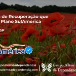 Clínica de Recuperação que Aceita SulAmérica em Canas -SP