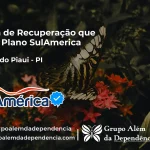 Clínica de Recuperação que Aceita SulAmérica em Castelo do Piauí -PI