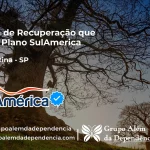 Clínica de Recuperação que Aceita SulAmérica em Clementina -SP