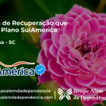 Clínica de Recuperação que Aceita SulAmérica em Descanso -SC