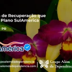 Clínica de Recuperação que Aceita SulAmérica em Faxinal -PR