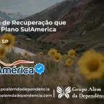 Clínica de Recuperação que Aceita SulAmérica em Fernão -SP