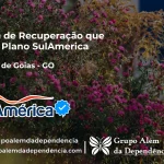 Clínica de Recuperação que Aceita SulAmérica em Guarani de Goiás -GO