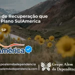 Clínica de Recuperação que Aceita SulAmérica em Lavínia -SP