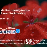 Clínica de Recuperação que Aceita SulAmérica em Nova Trento -SC