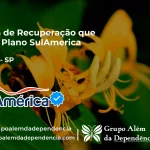 Clínica de Recuperação que Aceita SulAmérica em Oriente -SP