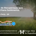 Clínica de Recuperação que Aceita SulAmérica em Paulo de Faria -SP