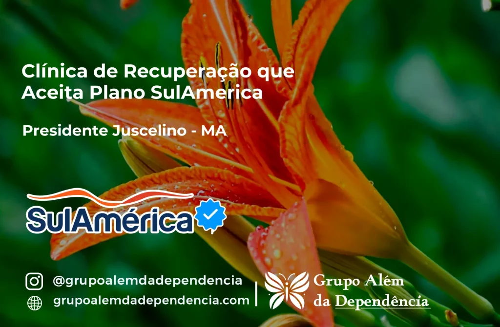 Clínica de Recuperação que Aceita SulAmérica em Presidente Juscelino -MA 1 Clínica de Recuperação que Aceita SulAmérica em Presidente Juscelino -MA
