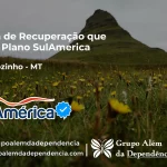 Clínica de Recuperação que Aceita SulAmérica em Ribeirãozinho -MT