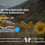 Clínica de Recuperação que Aceita SulAmérica em Santa Terezinha -MT