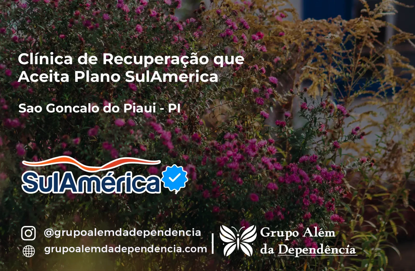 Clínica de Recuperação que Aceita SulAmérica em São Gonçalo do Piauí -PI