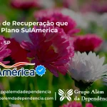 Clínica de Recuperação que Aceita SulAmérica em Sumaré -SP