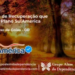 Clínica de Recuperação que Aceita SulAmérica em Valparaíso de Goiás -GO