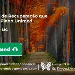 Clínica de Recuperação que Aceita Unimed em Alfenas - MG