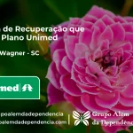 Clínica de Recuperação que Aceita Unimed em Alfredo Wagner - SC