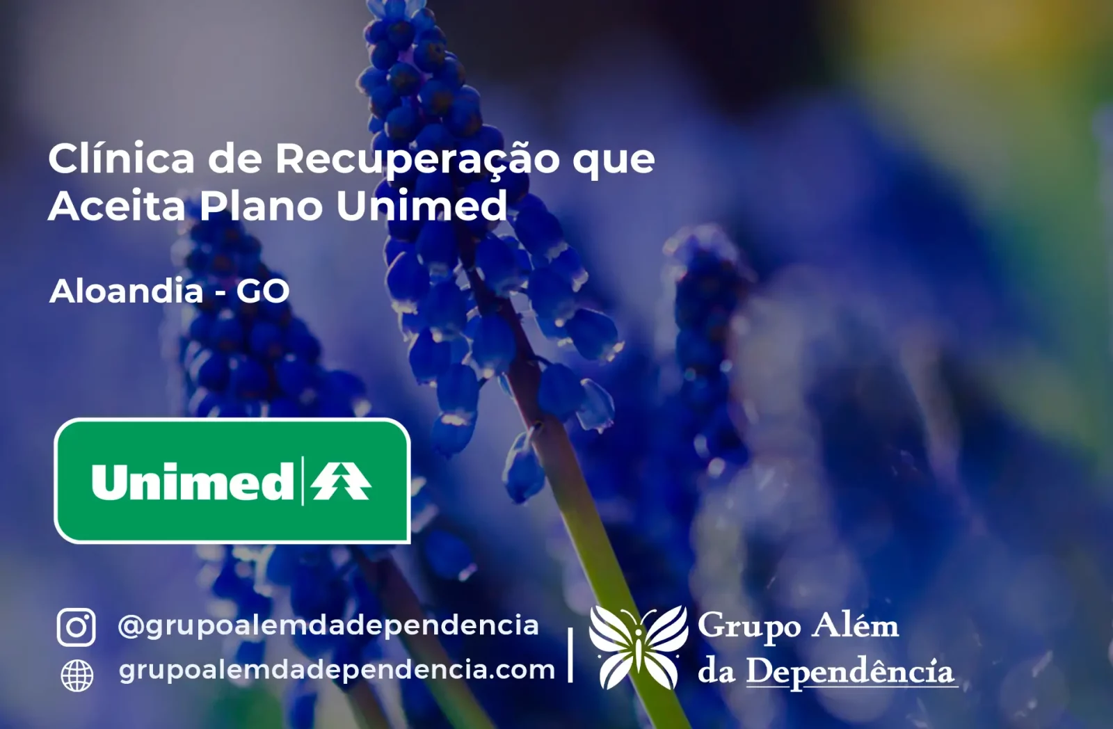 Clínica de Recuperação que Aceita Unimed em Aloândia - GO