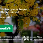 Clínica de Recuperação que Aceita Unimed em Alto Caparaó - MG