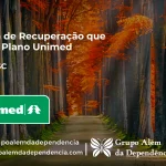 Clínica de Recuperação que Aceita Unimed em Ermo - SC