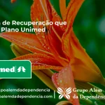 Clínica de Recuperação que Aceita Unimed em Exu - PE