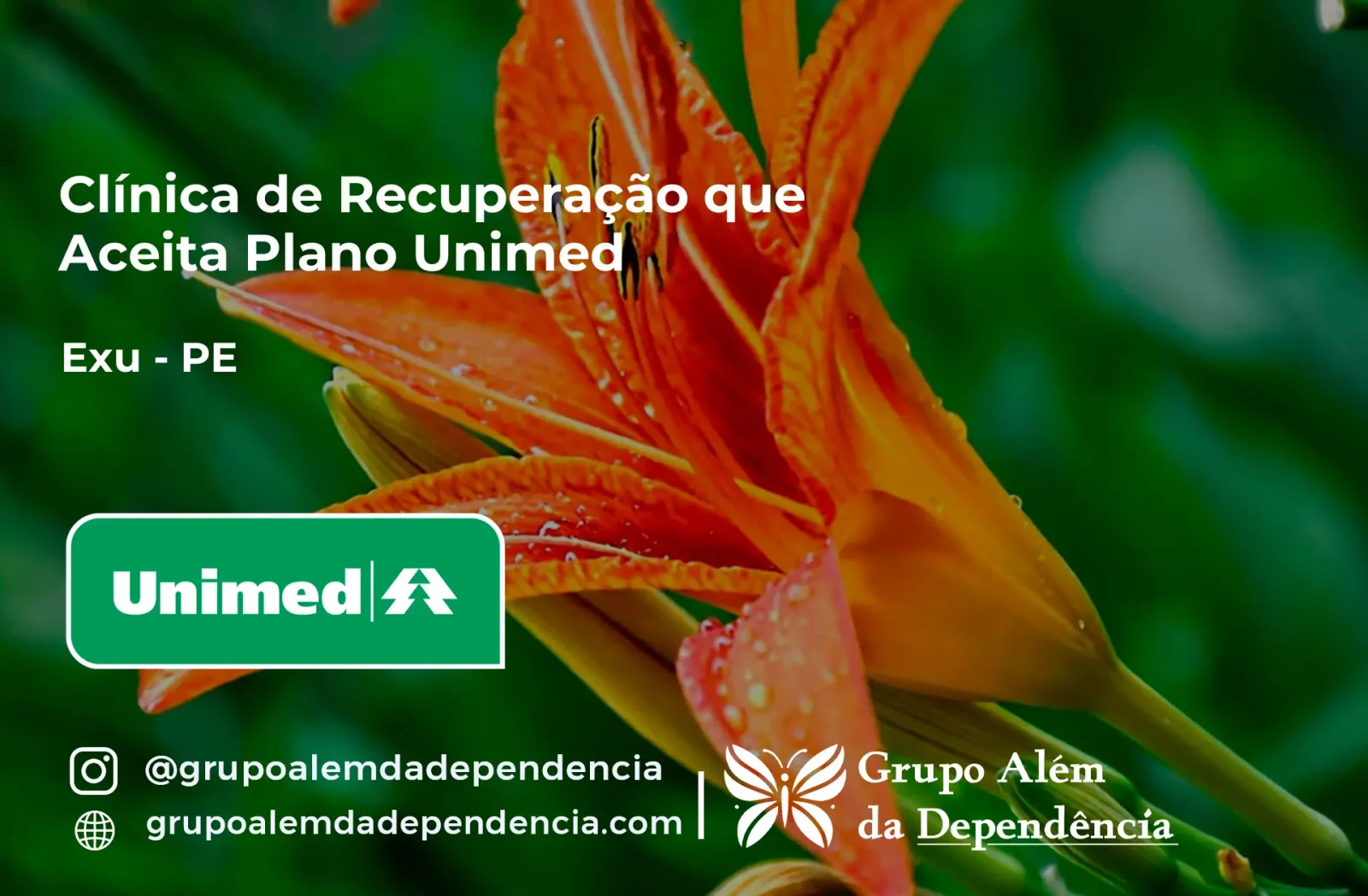 Clínica de Recuperação que Aceita Unimed em Exu - PE