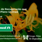 Clínica de Recuperação que Aceita Unimed em gama - DF