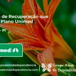 Clínica de Recuperação que Aceita Unimed em Gilbués - PI