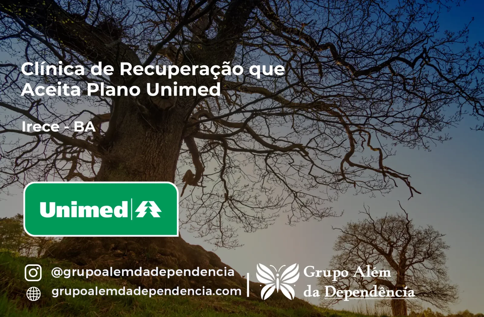 Clínica de Recuperação que Aceita Unimed em Irecê - BA