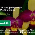 Clínica de Recuperação que Aceita Unimed em Lago do Junco - MA