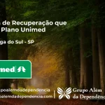 Clínica de Recuperação que Aceita Unimed em Murutinga do Sul - SP