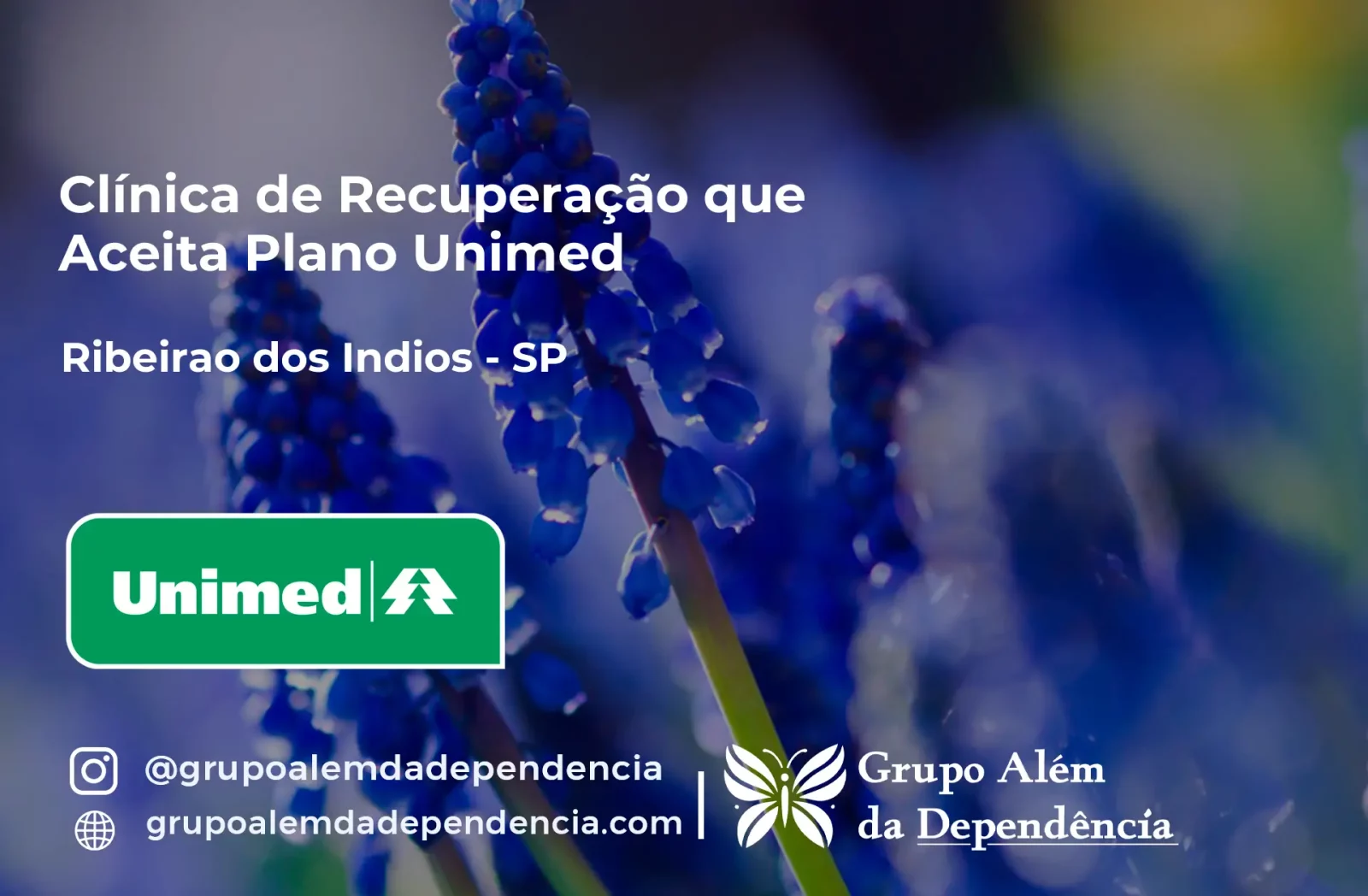 Clínica de Recuperação que Aceita Unimed em Ribeirão dos Índios - SP