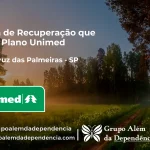 Clínica de Recuperação que Aceita Unimed em Santa Cruz das Palmeiras - SP