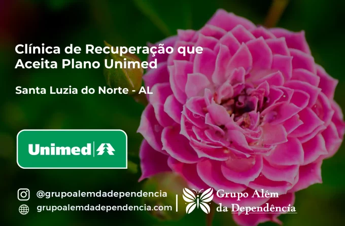 Clínica de Recuperação que Aceita Unimed em Santa Luzia do Norte - AL