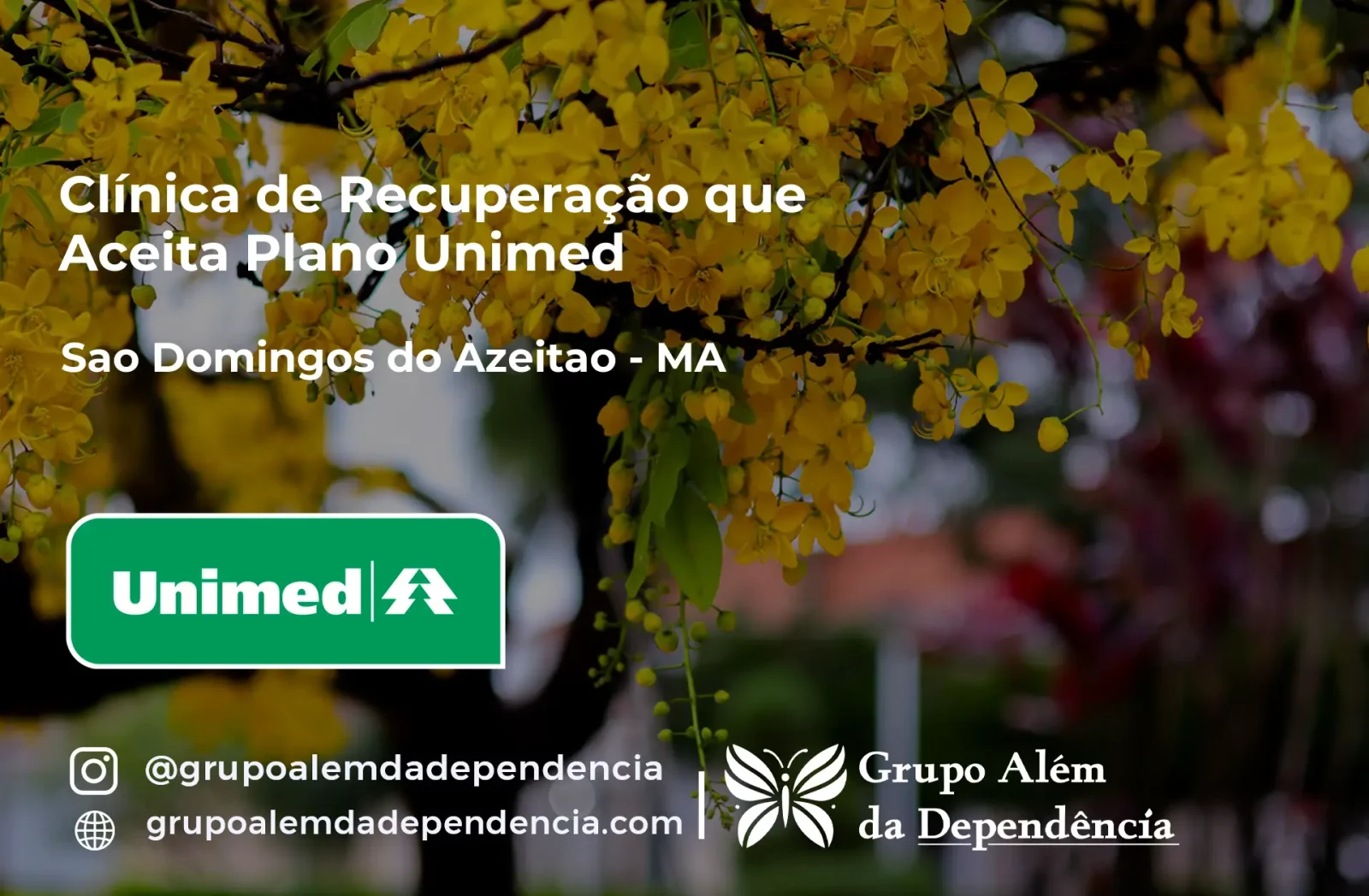 Clínica de Recuperação que Aceita Unimed em São Domingos do Azeitão - MA