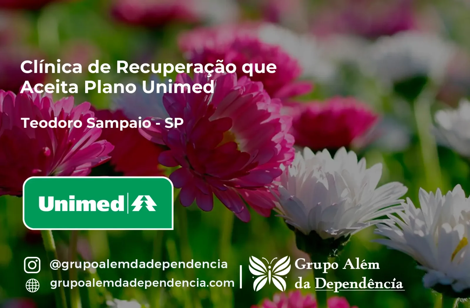 Clínica de Recuperação que Aceita Unimed em Teodoro Sampaio - SP