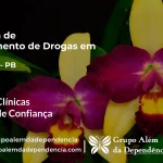 Tratamento de Drogas em Alcantil - PB | Clínica de Recuperação