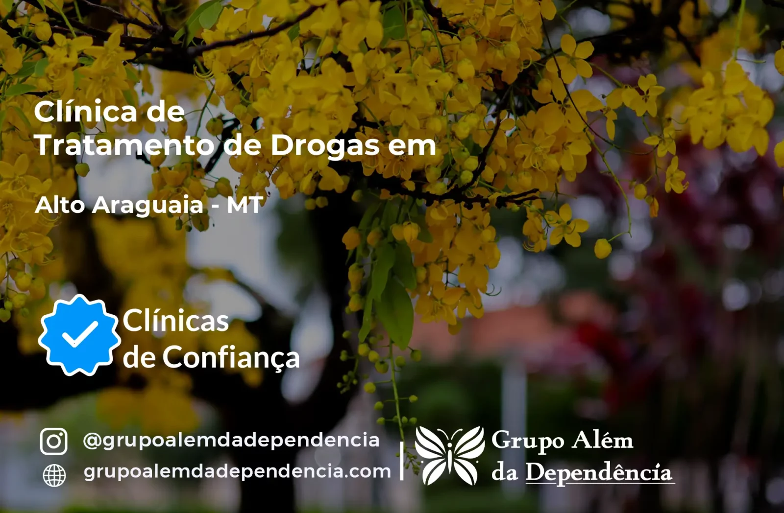 Tratamento de Drogas em Alto Araguaia - MT | Clínica de Recuperação