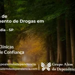 Tratamento de Drogas em Alvinlândia - SP | Clínica de Recuperação
