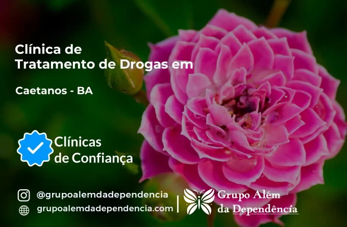 Tratamento de Drogas em Caetanos - BA | Clínica de Recuperação