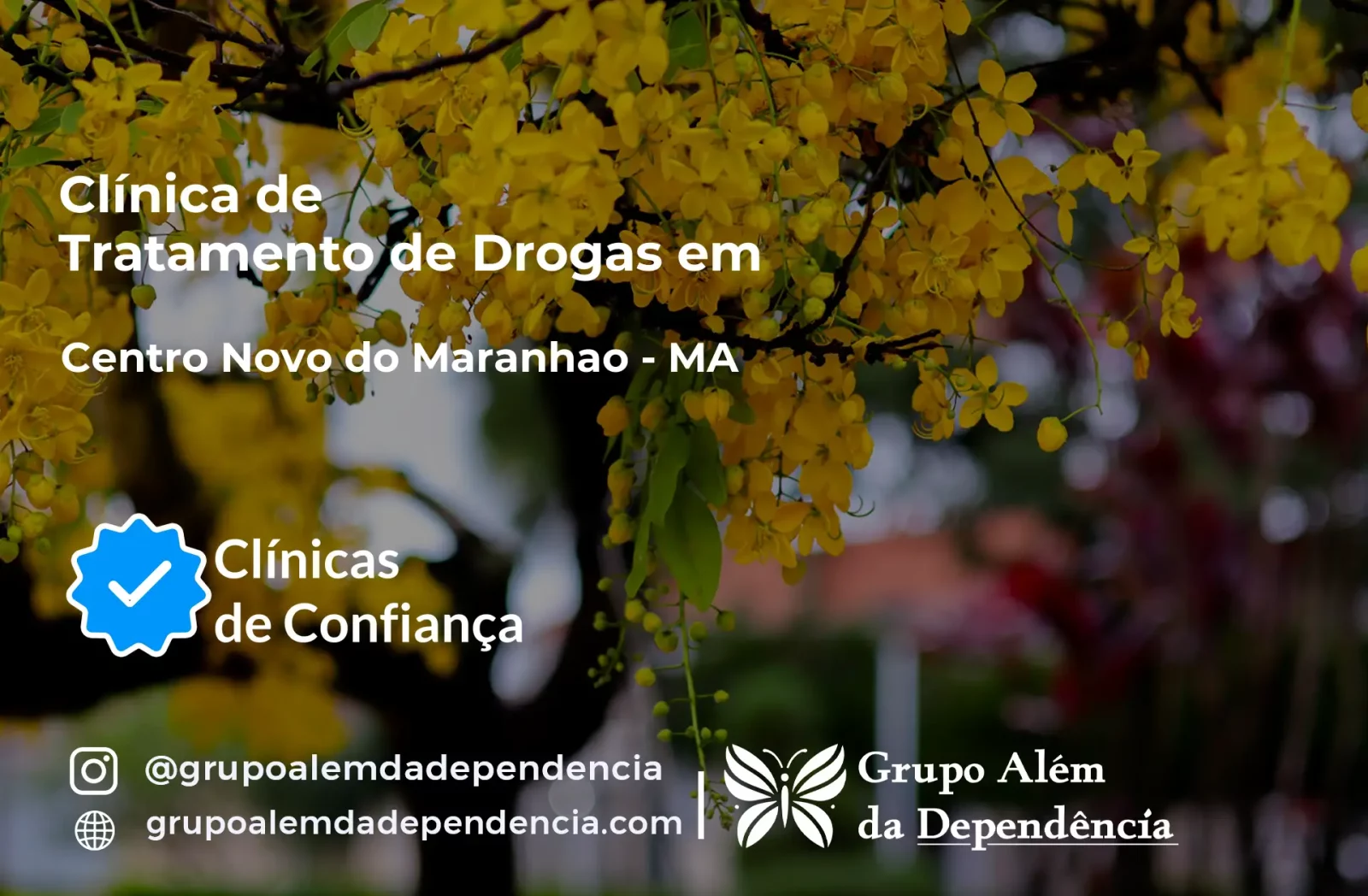 Tratamento de Drogas em Centro Novo do Maranhão - MA | Clínica de Recuperação