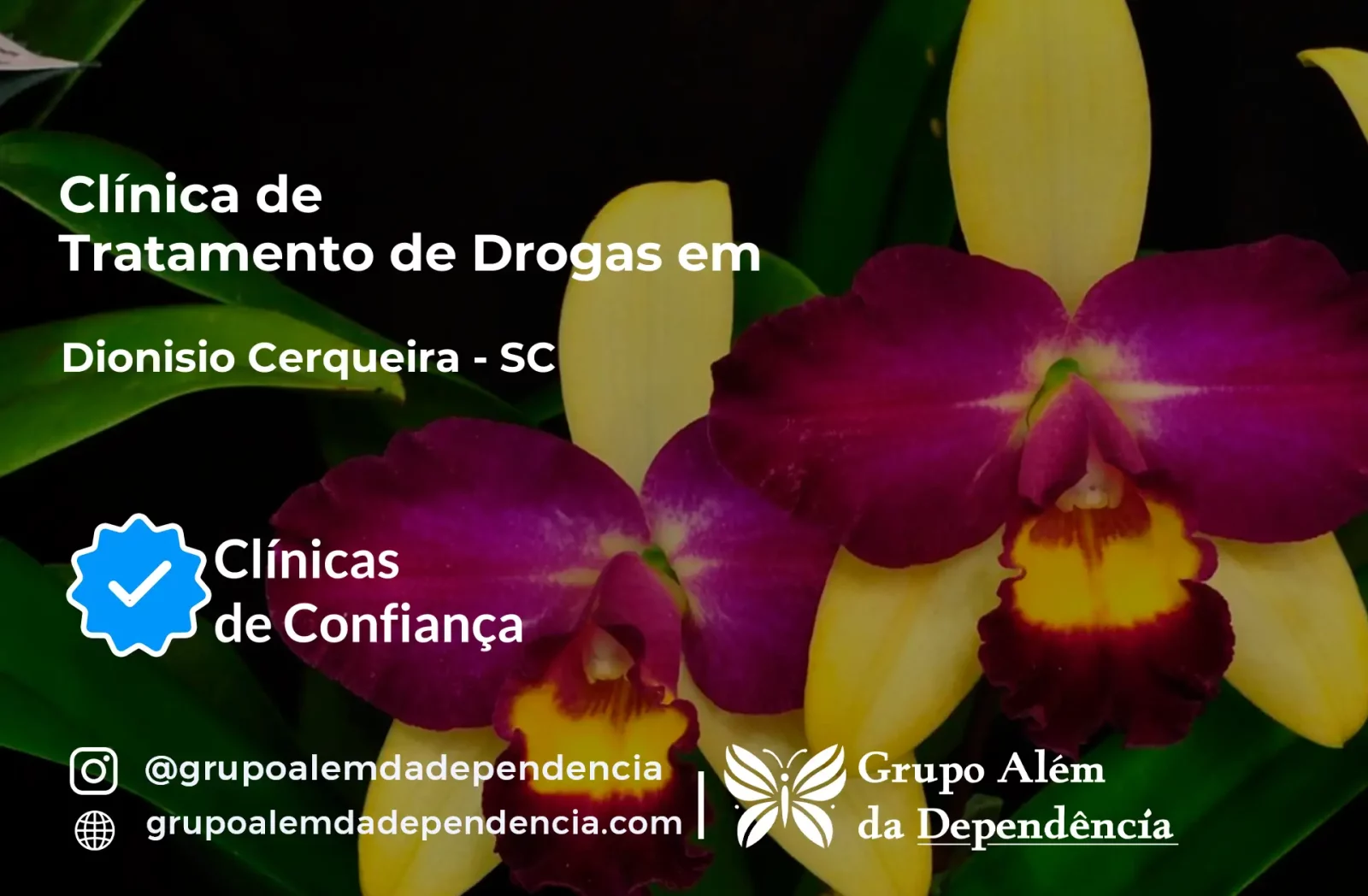 Tratamento de Drogas em Dionísio Cerqueira - SC | Clínica de Recuperação