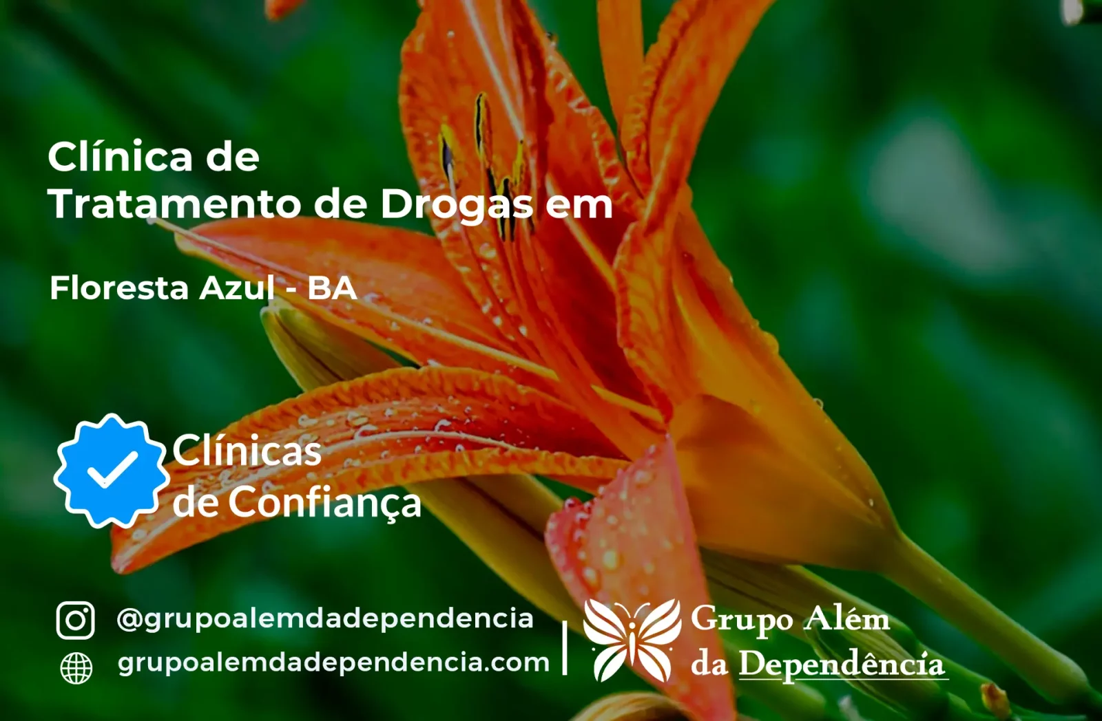 Tratamento de Drogas em Floresta Azul - BA | Clínica de Recuperação