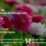 Tratamento de Drogas em Guaíra - SP | Clínica de Recuperação